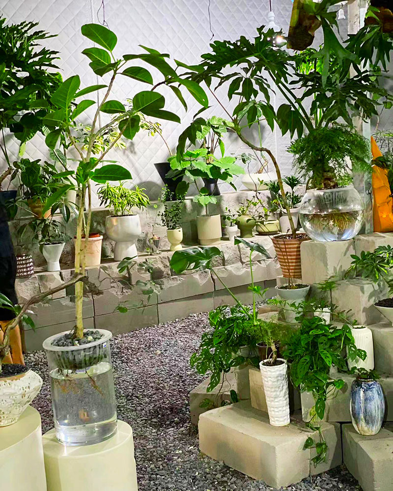 /index.php?c=show&id=11