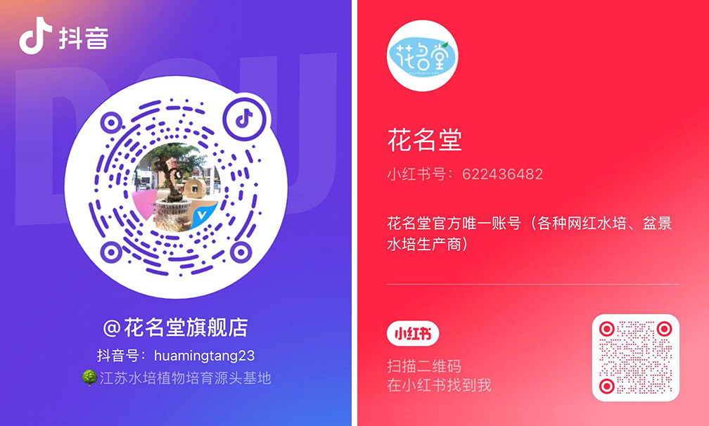 微信图片_20231207085803